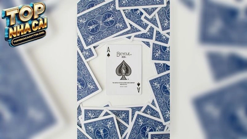 Game Tài Xỉu Đổi Thưởng HOT Nhất – Chơi 1 Ván, Ăn Cả Ngày!