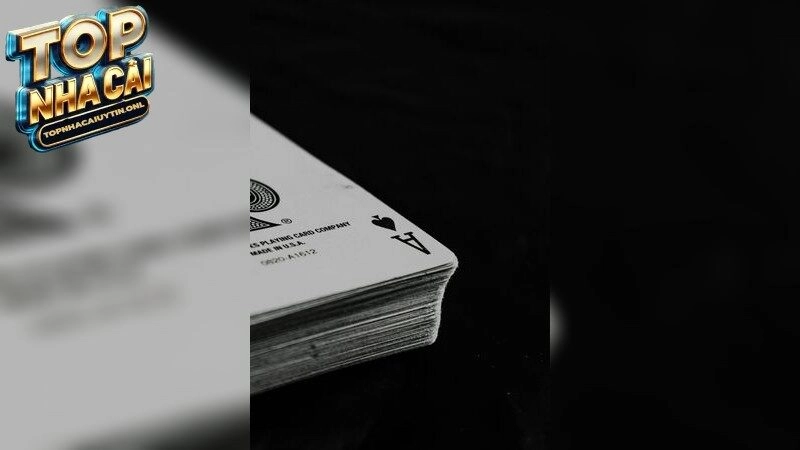 jbo – Hấp dẫn mọi cuộc chơi cược 2025