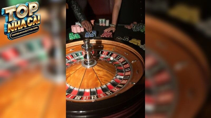 m88 – Tận hưởng không khí cá cược sôi động 2025