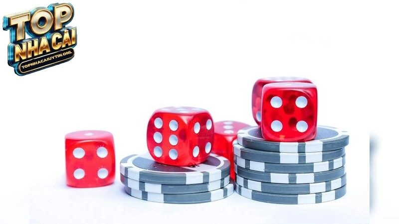 Nhà Cái Tặng Code – Mở Khóa Ưu Đãi Khủng Chỉ Vài Bước