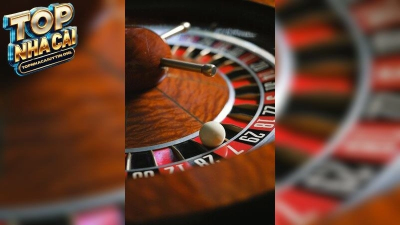 Nhà Cái Tặng Tiền Miễn Phí Đang Là Xu Hướng HOT Nhất 2026