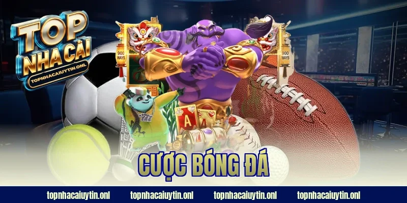 cược bóng đá