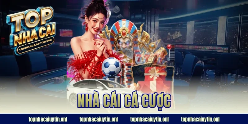 nhà cái cá cược