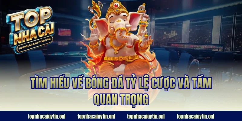 Tìm hiểu về bóng đá tỷ lệ cược và tầm quan trọng