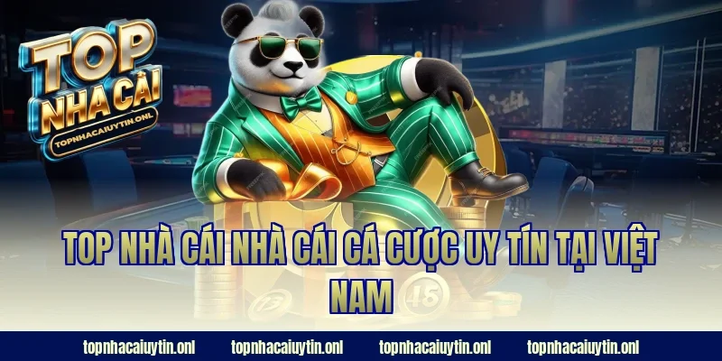 Top nhà cái nhà cái cá cược uy tín tại Việt Nam